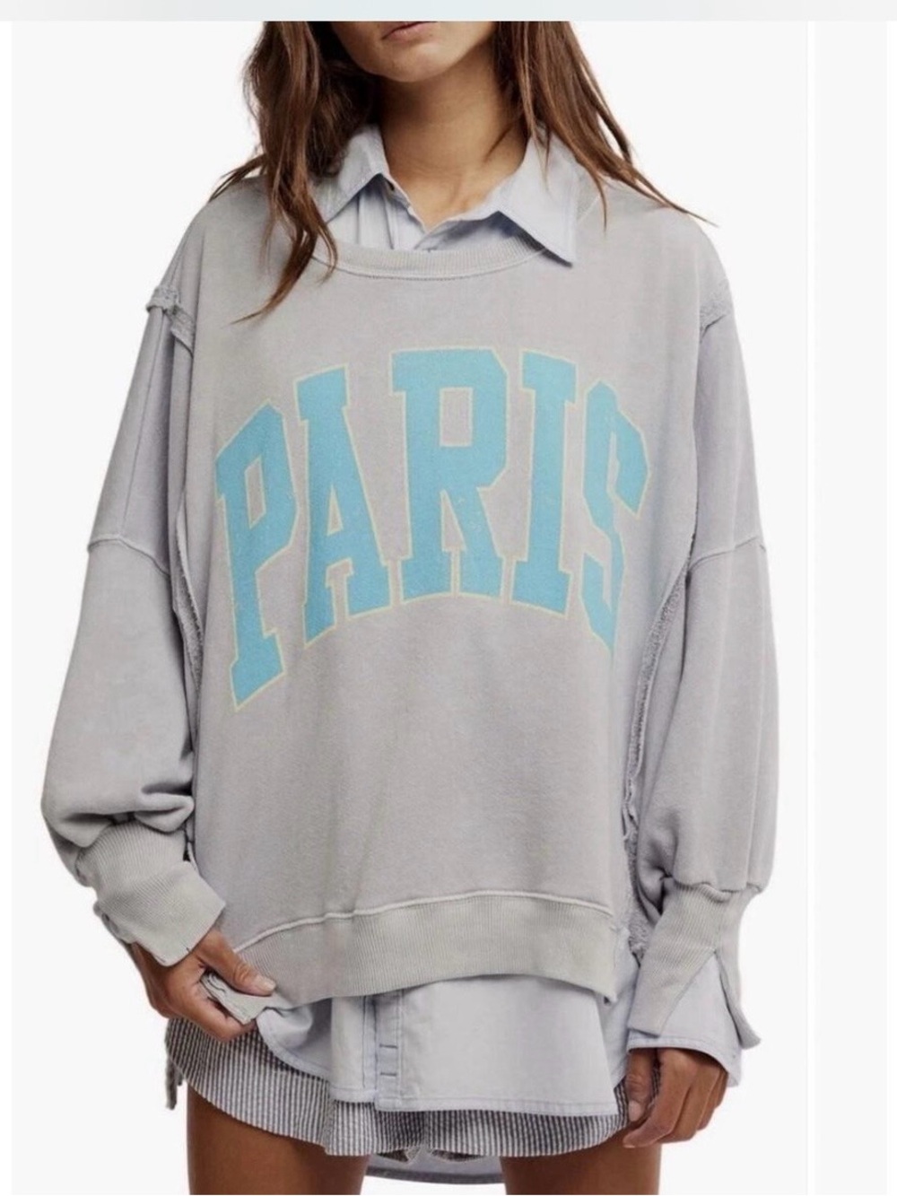 EUC Free People Camden Paris sweatshirt